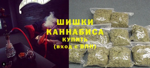 гидра Билибино