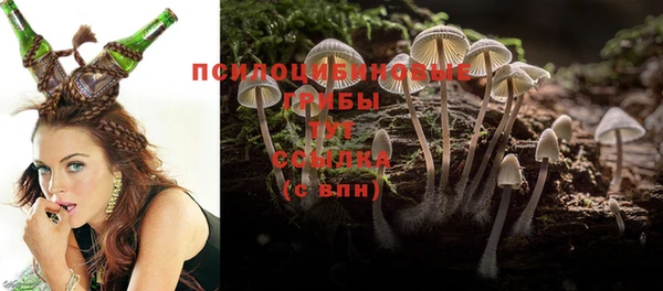 спайс Нягань