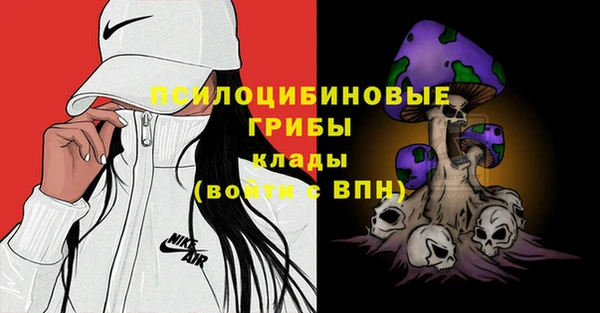 ALPHA PVP Няндома