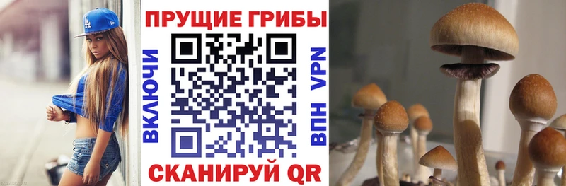 Галлюциногенные грибы мицелий Балаково
