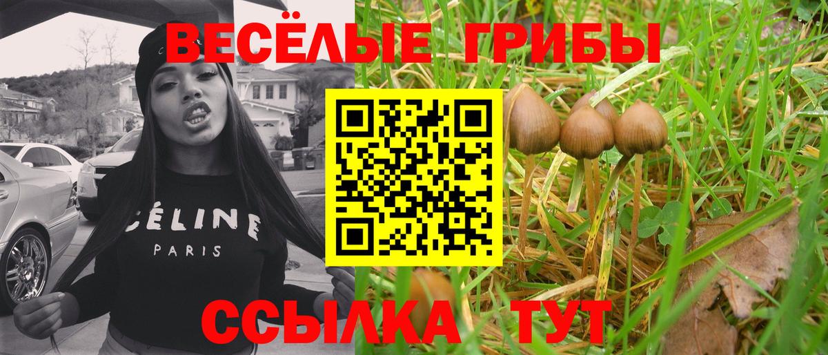 Псилоцибиновые грибы Magic Shrooms  Вход с VPN  Балаково 